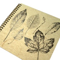 Альбом для гербария "Ботаника", 40л, BN-SKB-PR-8, BlankNote - Купить в интернет-магазине Darilka.com.ua