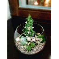 Новогодний флорариум Рождественская сказка