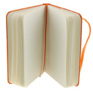 Карманный блокнот БланкНотик (оранжевый, перья)