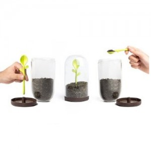 Контейнер для сыпучих Qualy Sprout Jar