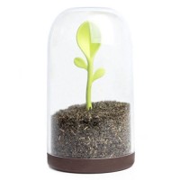 Контейнер для сыпучих Qualy Sprout Jar, QL10205-BN,  - Купить в интернет-магазине Darilka.com.ua